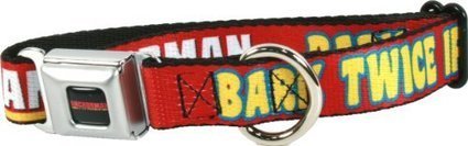 Anchorman Bark Twice Dog Collar