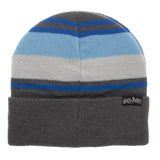 Harry Potter House Striped Beanies
