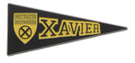 Xavier Institute for Higher Learning Pins